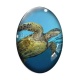 Cabochon Verre Ovale - tortue