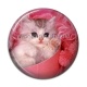 Cabochon Résine - chaton