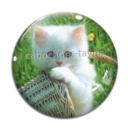Cabochon Verre - chaton