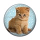 Cabochon Résine - chaton