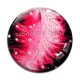 Cabochon Verre - plume