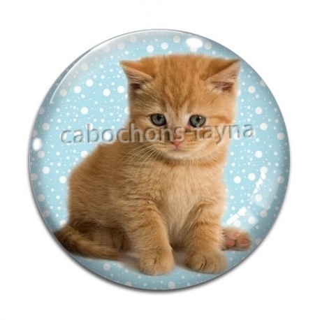 Cabochon Verre - chaton