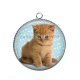 Pendentif Cabochon Argent - chaton