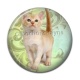 Cabochon Résine - chaton