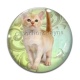 Cabochon Verre - chaton