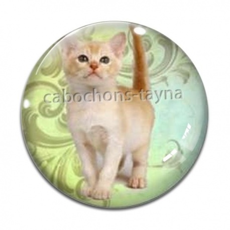 Cabochon Verre - chaton