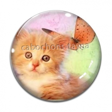 Cabochon Verre - chaton