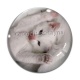 Cabochon Verre - chaton