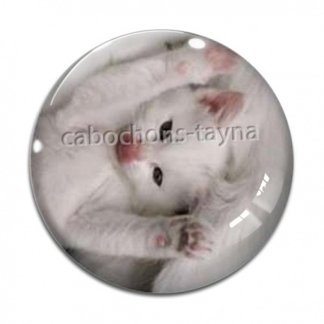 Cabochon Verre - chaton