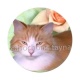 chat