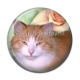 Cabochon Résine - chat