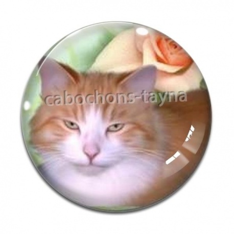 Cabochon Verre - chat