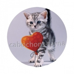 chaton coeur