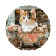 chaton coeur