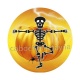 squelette halloween 