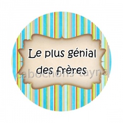 le plus génial des frères