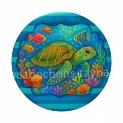 tortue