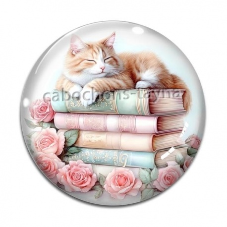 Cabochon Verre - chat livre