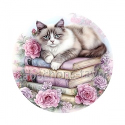 chat livre