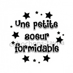 une petite soeur formidable