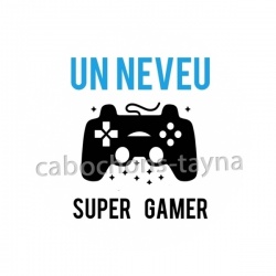 un neveu super gamer