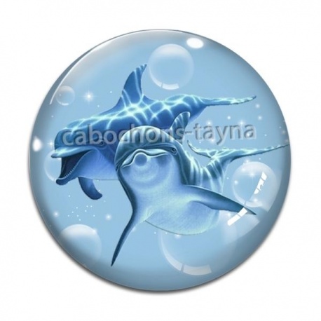 Cabochon Verre - daufin