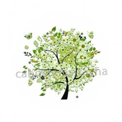 arbre de vie