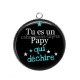 Pendentif Cabochon Argent - tu es un papy qui deéchire
