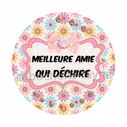 meilleure amie qui déchire