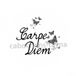 carpe diem 