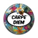Cabochon Résine - carpe diem 