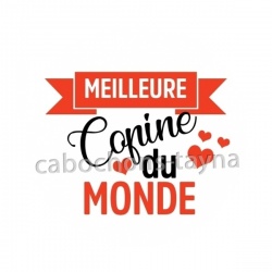 meilleure copine du monde