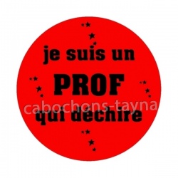  je suis un prof qui déchire