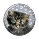 Cabochon Résine - chaton