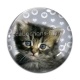 Cabochon Verre - chaton