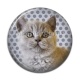 Cabochon Résine - chat