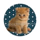 chaton