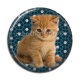 Cabochon Résine - chaton