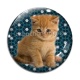Cabochon Verre - chaton