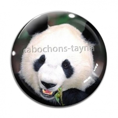 Cabochon Verre - panda