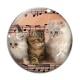 Cabochon Verre - chaton