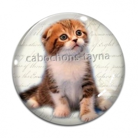 Cabochon Verre - chaton