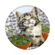 chat