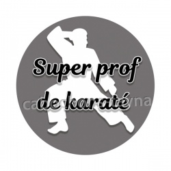 super prof de karaté