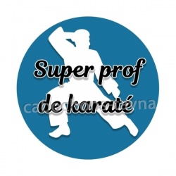 super prof de karaté