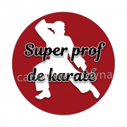 super prof de karaté