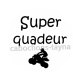  super quadeur