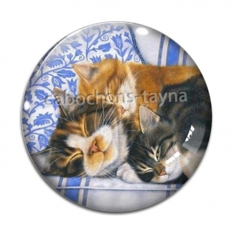 Cabochon Verre - chat