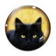 Cabochon Verre - chat