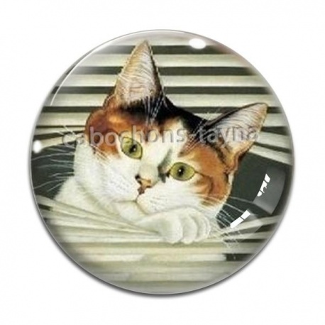 Cabochon Verre - chat
